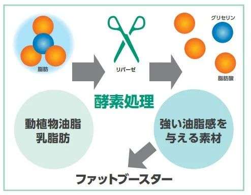 透过日本食品机械原辅料大赏，看底层技术如何推动产业前行